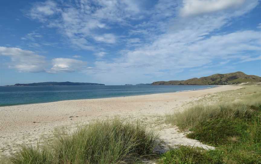 Stick in the sand, Mercury Bay, New Zealand