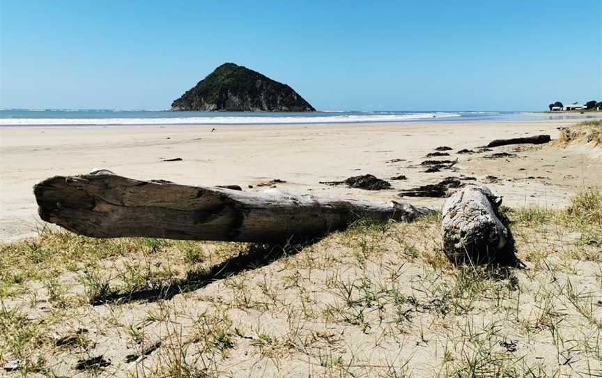 Place Of Cook's Landing In New Zealand, Gisborne, New Zealand