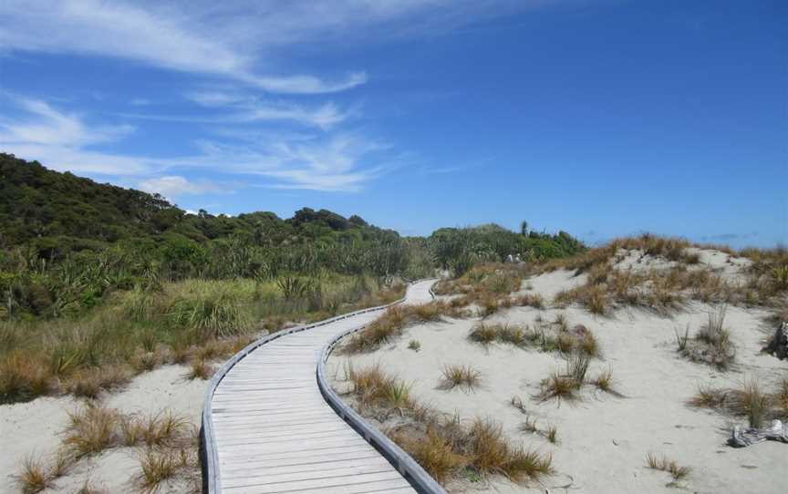 Swamp Forest Walk, Haast, New Zealand