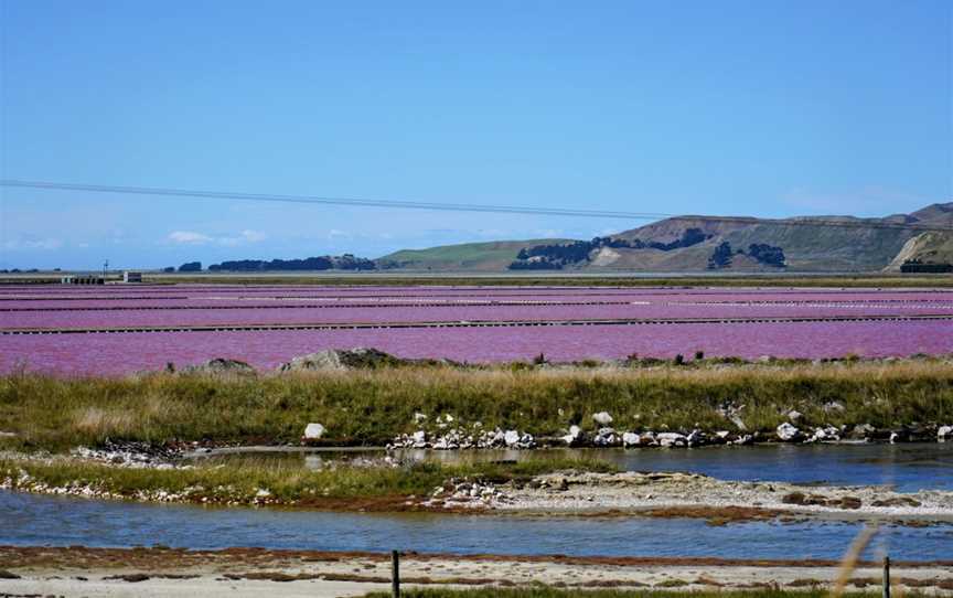 Saltworks, Marlborough, New Zealand