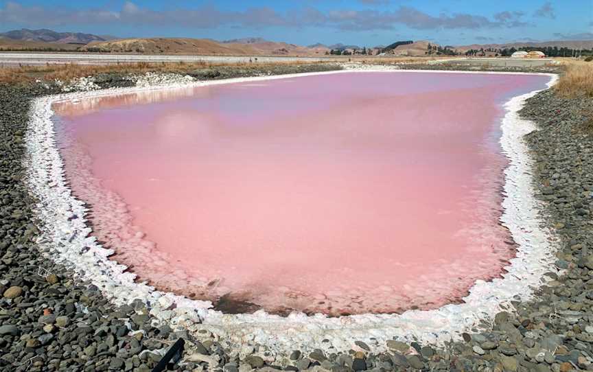 Saltworks, Marlborough, New Zealand