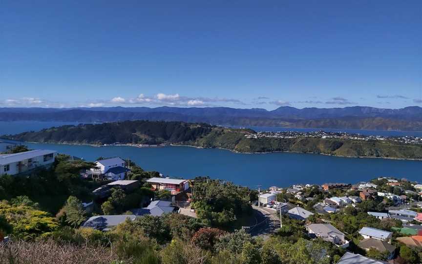 Mount Victoria Radio Tower, Roseneath, New Zealand