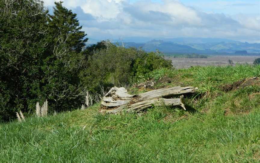 Whangamarino Redoubt, Mercer, New Zealand