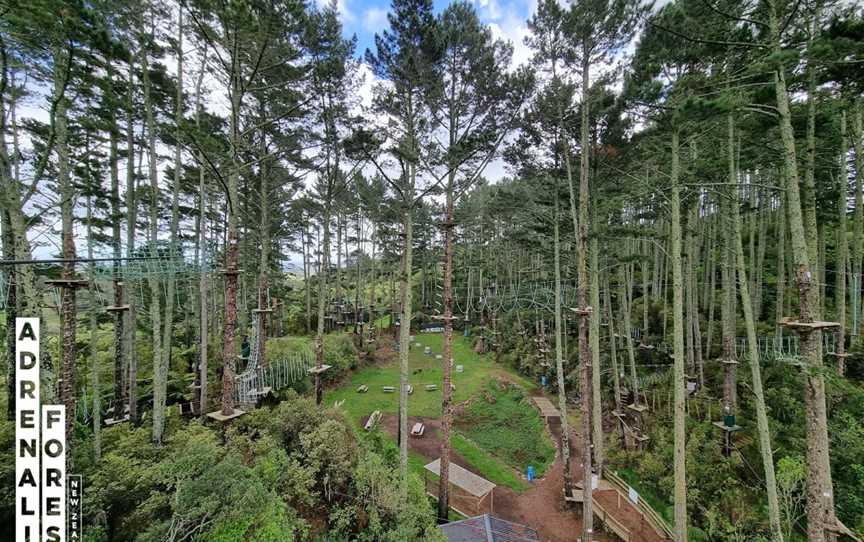 Adrenalin Forest Porirua, Bombay, New Zealand