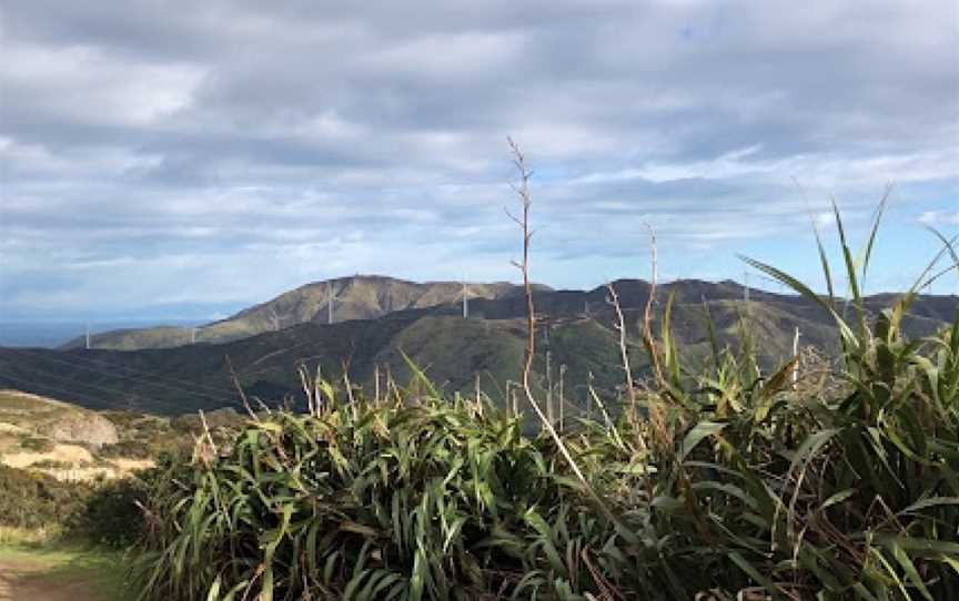 Makara Peak Mountain Bike Park, Karori, New Zealand