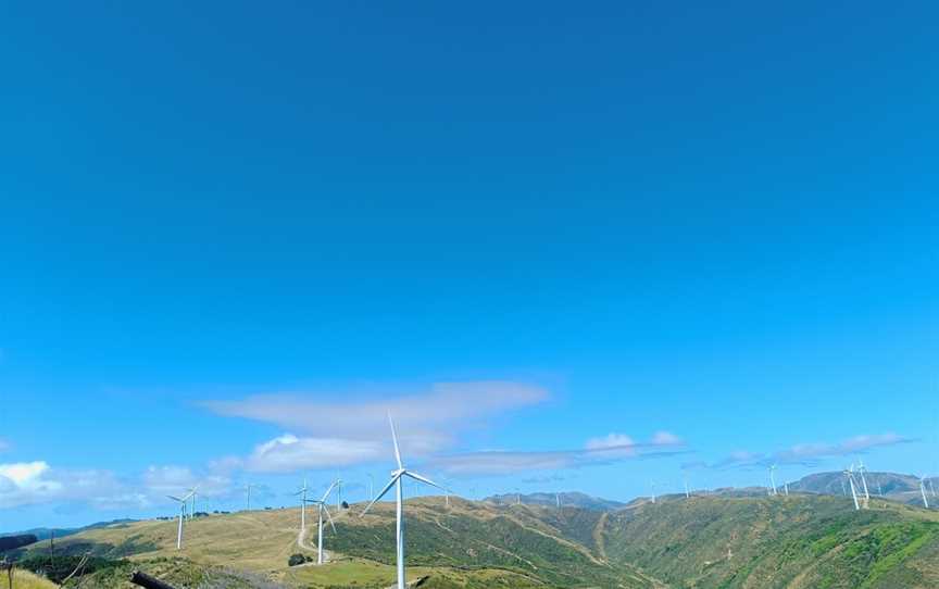 Makara Peak Mountain Bike Park, Karori, New Zealand