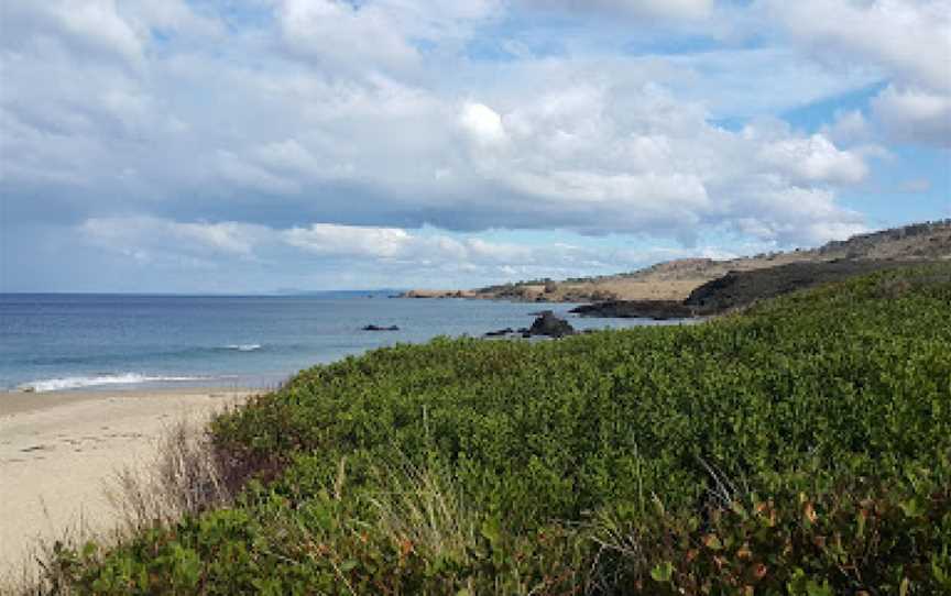 Cressy Beach, Swansea, TAS