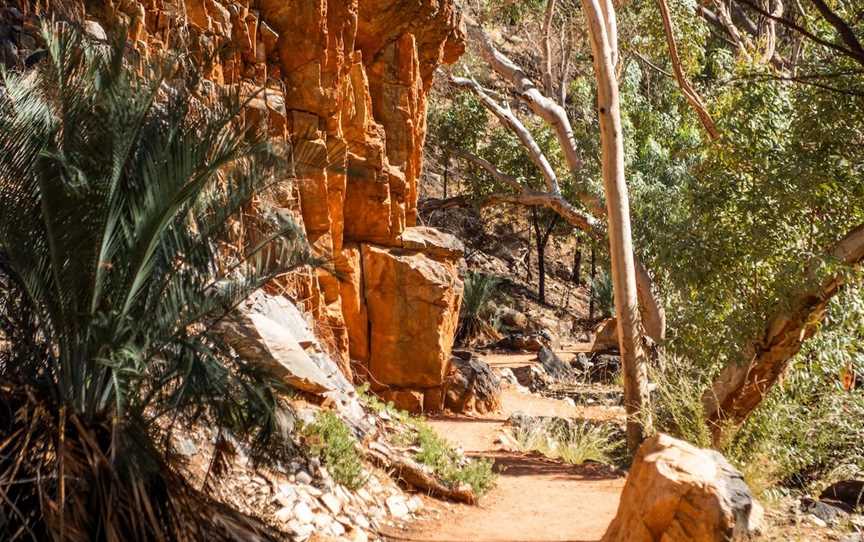 Standley Chasm – Angkerle  Atwatye, Hugh, NT