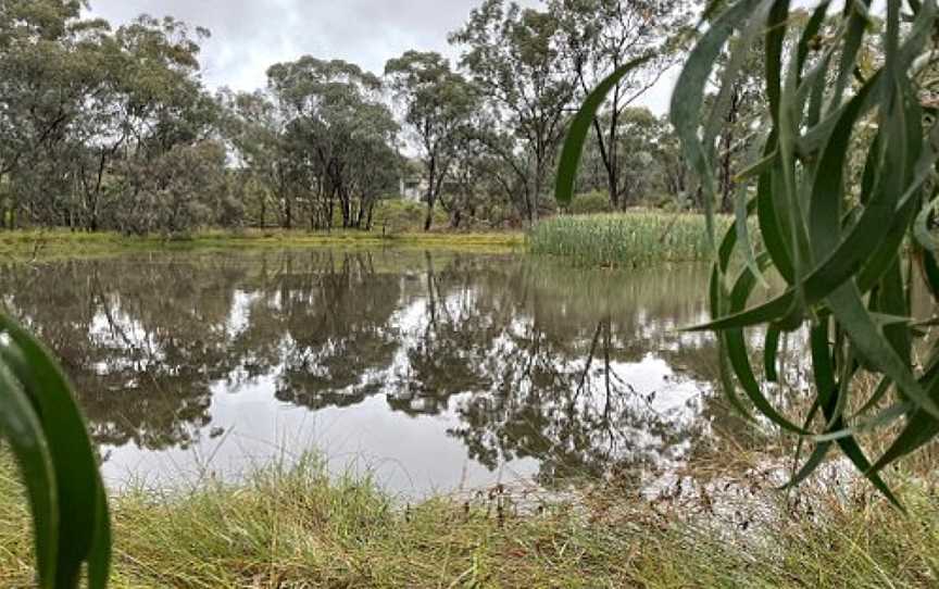 Fosters Lake, Glenrowan, VIC