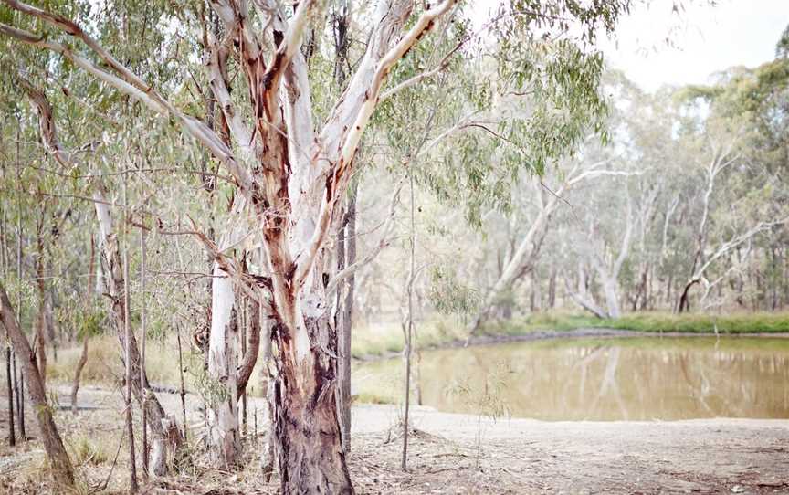 Fosters Lake, Glenrowan, VIC