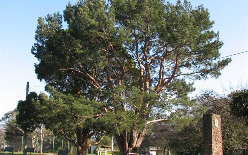 Wattle Park, Glenrowan, VIC