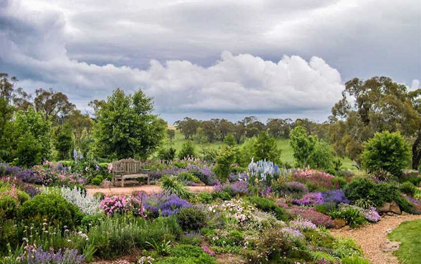 Patina Wines Garden, Dromana, VIC