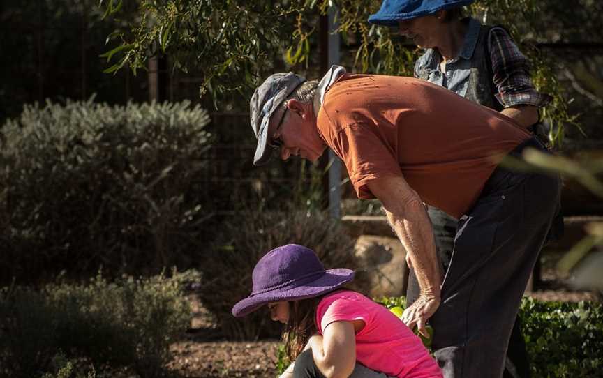 Australian Arid Lands Botanic Garden, Port Augusta, SA