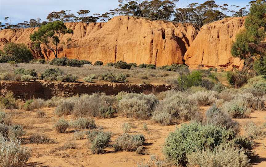 Red Banks Conservation Park, Burra, SA