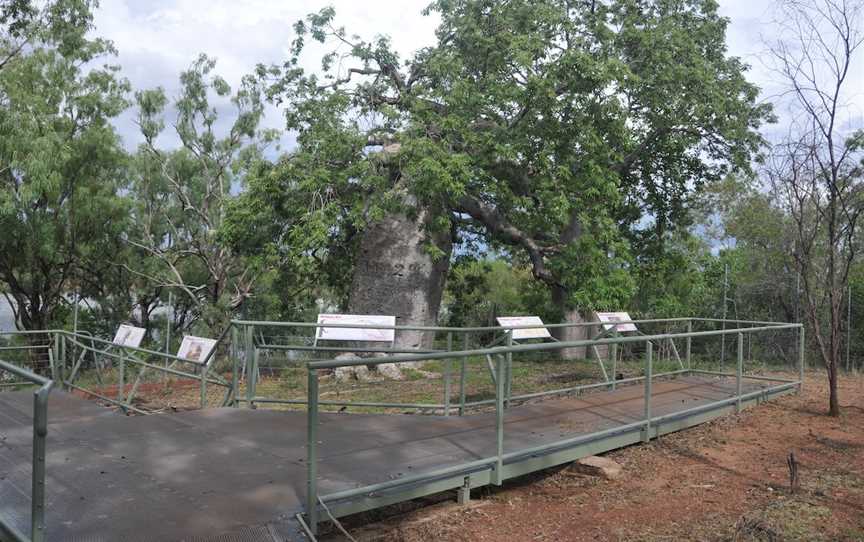 Gregory’s Tree, Timber Creek, Gregory, NT