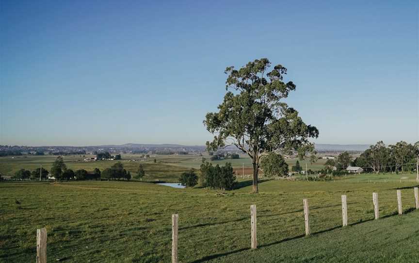 Bolwarra Heights Lookout, Bolwarra Heights, NSW