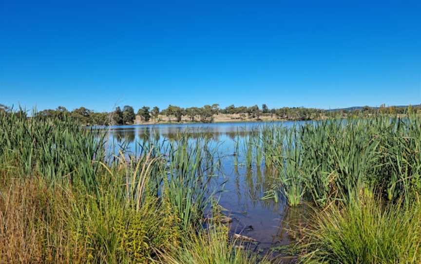 Gosling Creek Reserve, Orange, NSW