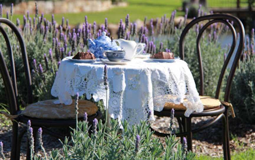 The Bath House Garden, Oakhampton Heights, NSW