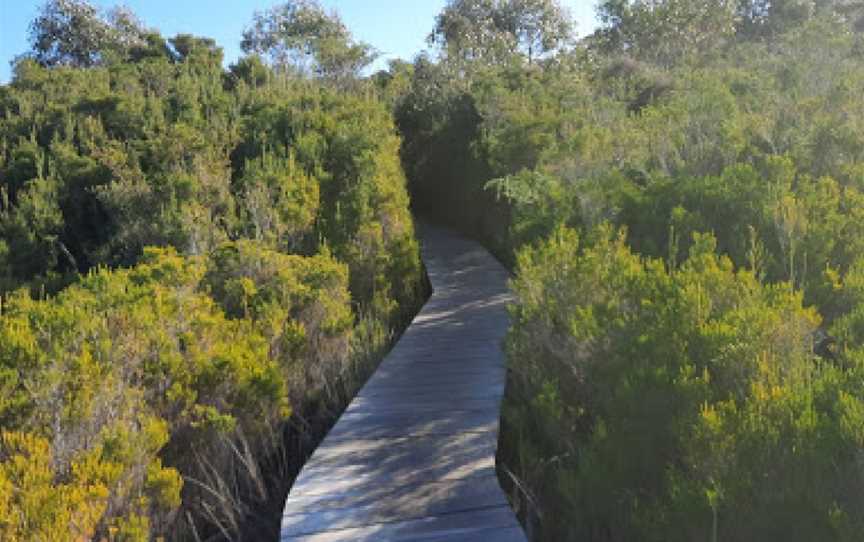 Winifred Curtis Reserve, Scamander, TAS