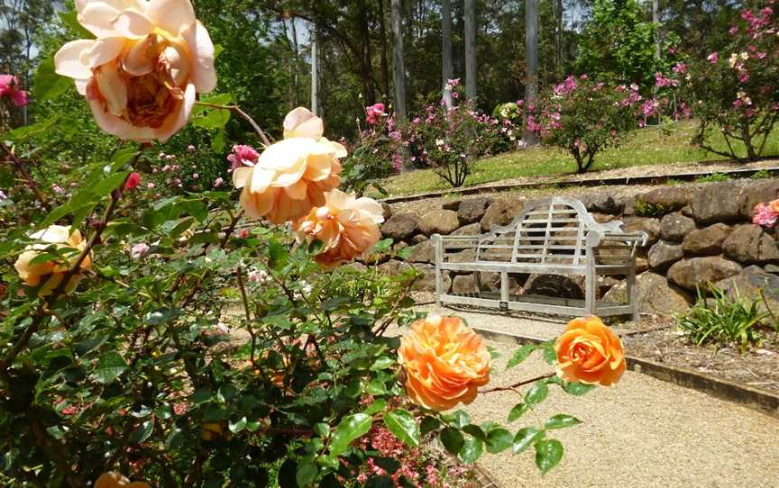 Tamborine Mountain Regional Botanic Gardens, Tamborine Mountain, QLD