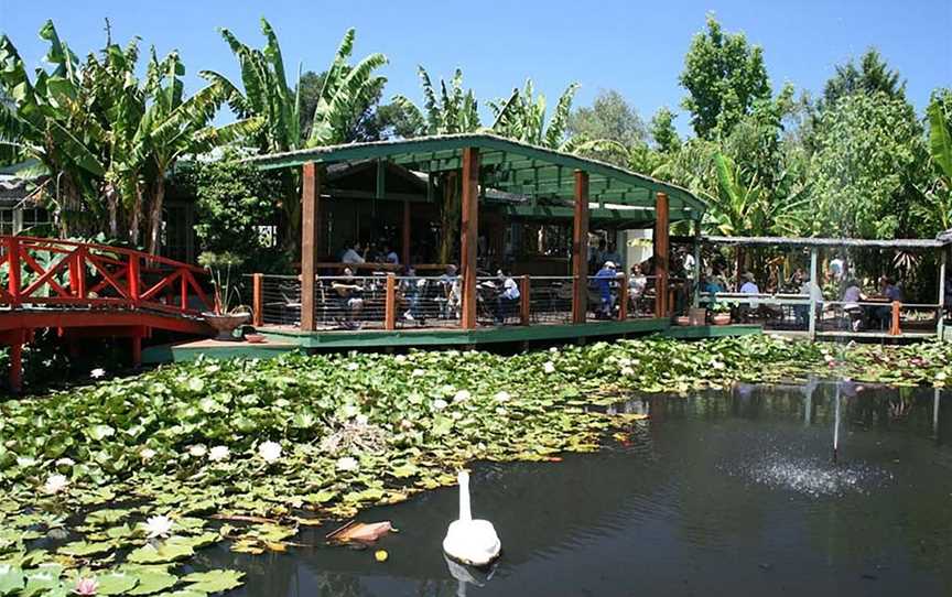 Blue Lotus Water Garden, Yarra Junction, VIC