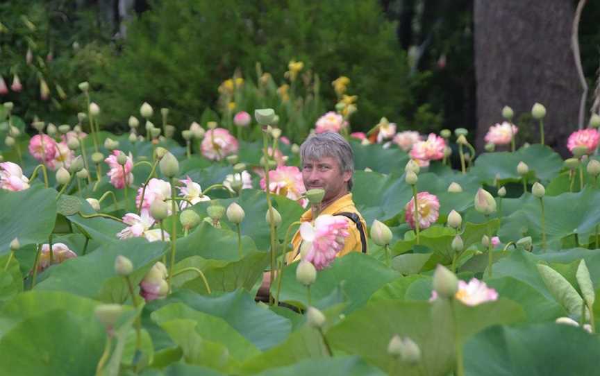 Blue Lotus Water Garden, Yarra Junction, VIC