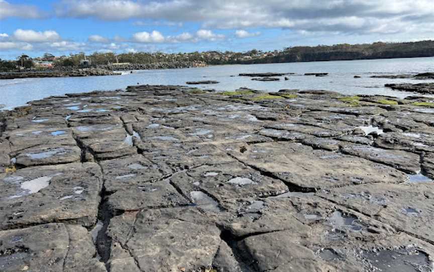 Gondwana Coast Fossil Walk, Ulladulla, NSW