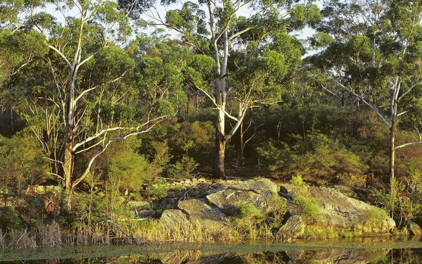 Lake Parramatta Reserve and recreation area, North Parramatta, NSW