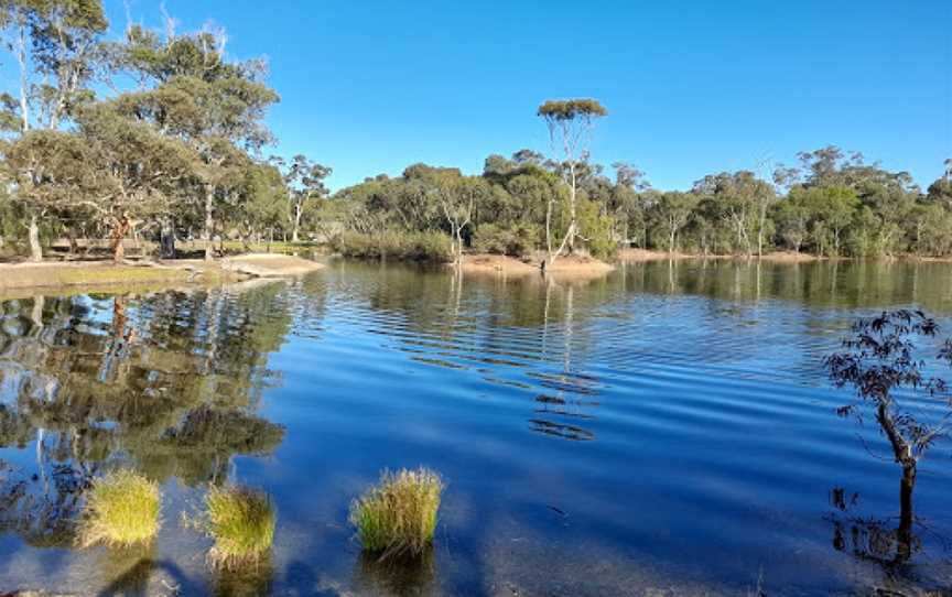 Wudinna Apex Park, Wudinna, SA