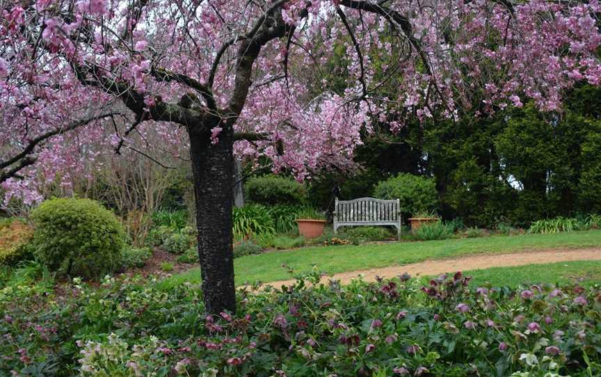 Wildwood Garden, Bilpin, NSW