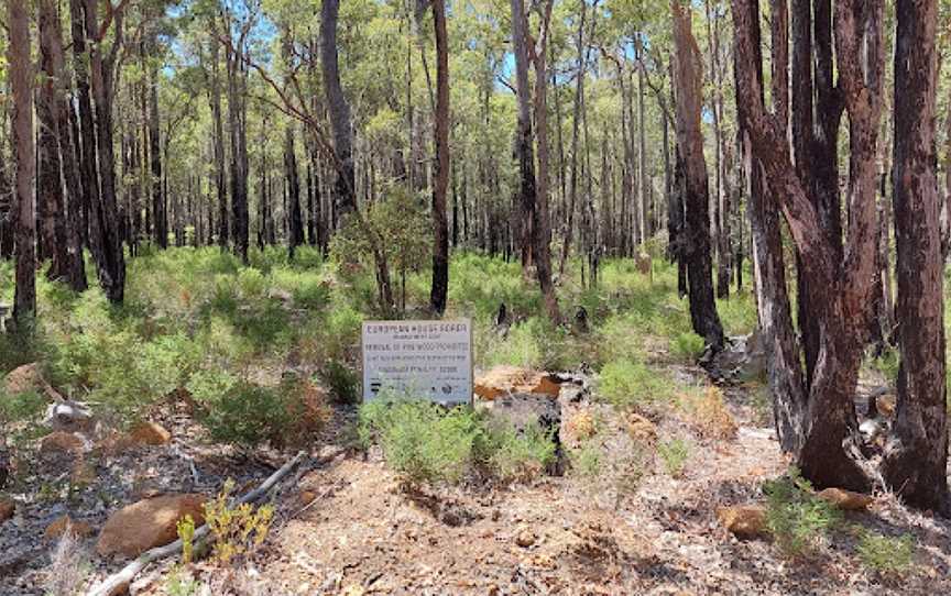 Grevillea Park, Dalby, QLD