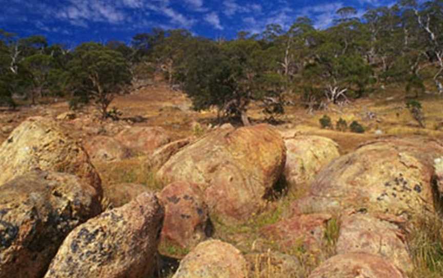 Goldfields Track, Ballarat East, VIC