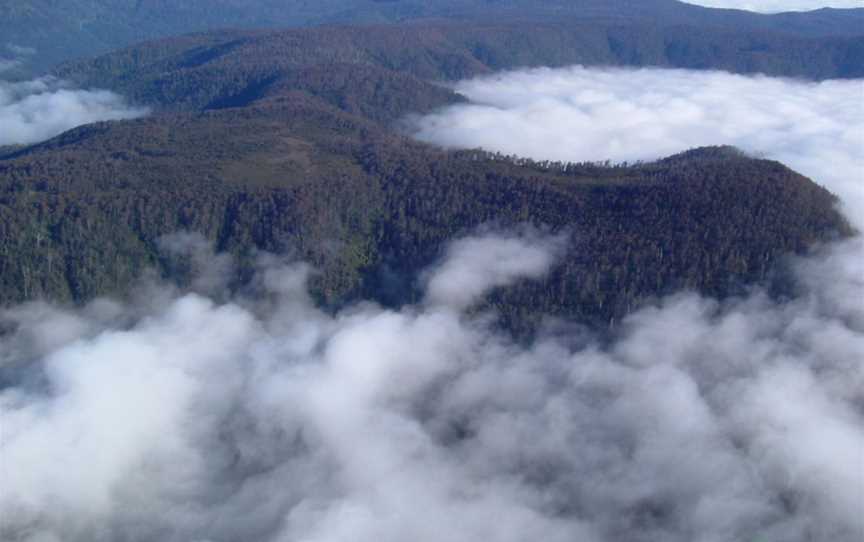 Mount Misery Walk and Nature Reserve, Huonville, TAS