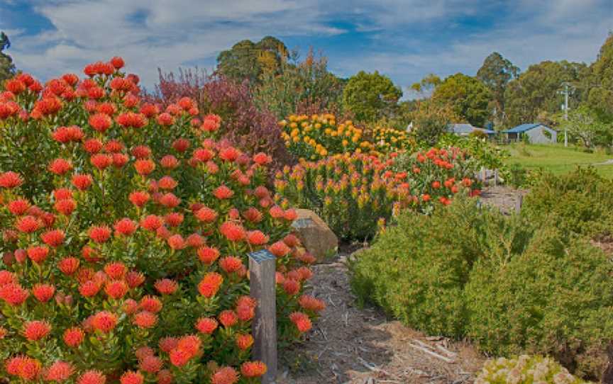 Inala Jurassic Garden and Nature Museum, South Bruny, TAS