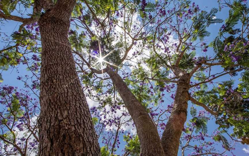 John Scott Park, Samford Village, QLD