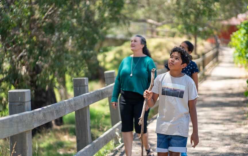 Bush Tucker Trail, Jerilderie, NSW