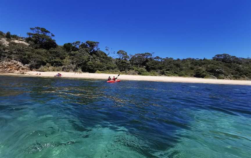 Portsea Front Beach, Portsea, VIC