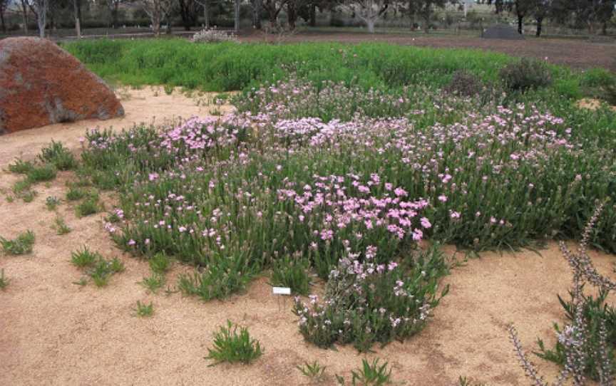 Melton Botanic Garden, Melton, VIC