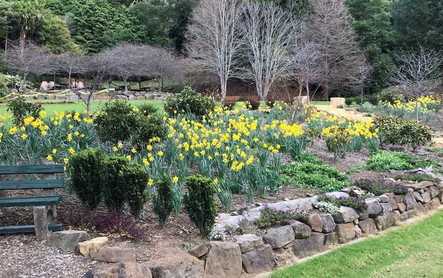 Illawarra Rhododendron and Rainforest Garden, Mount Pleasant, NSW