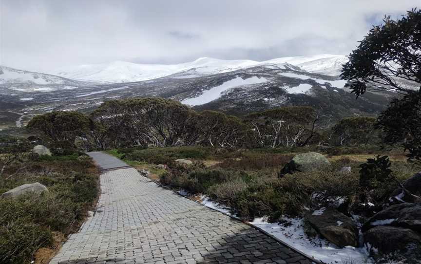 Snow Gums boardwalk, Jindabyne, NSW