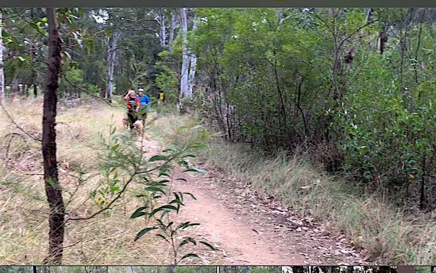 Great West Walk - Blacktown section, Quakers Hill, NSW