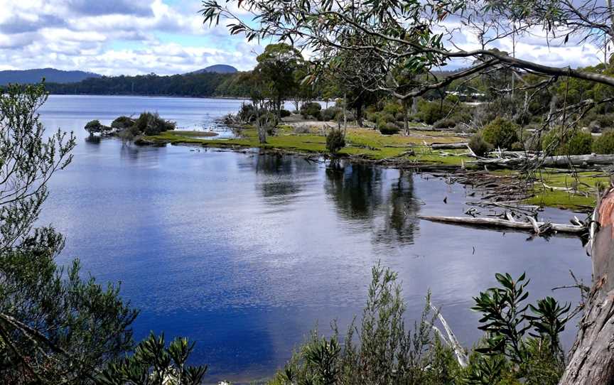 Lake St Clair (Cradle Mountain  - Lake St Clair National Park), Derwent Bridge, TAS