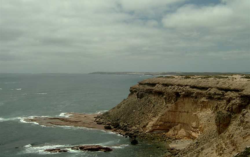 Point Labatt Conservation Park, Streaky Bay, SA