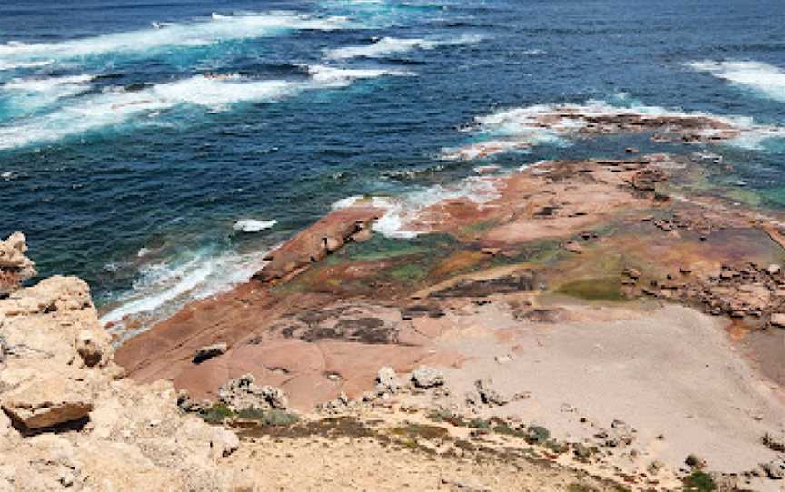 Point Labatt Conservation Park, Streaky Bay, SA