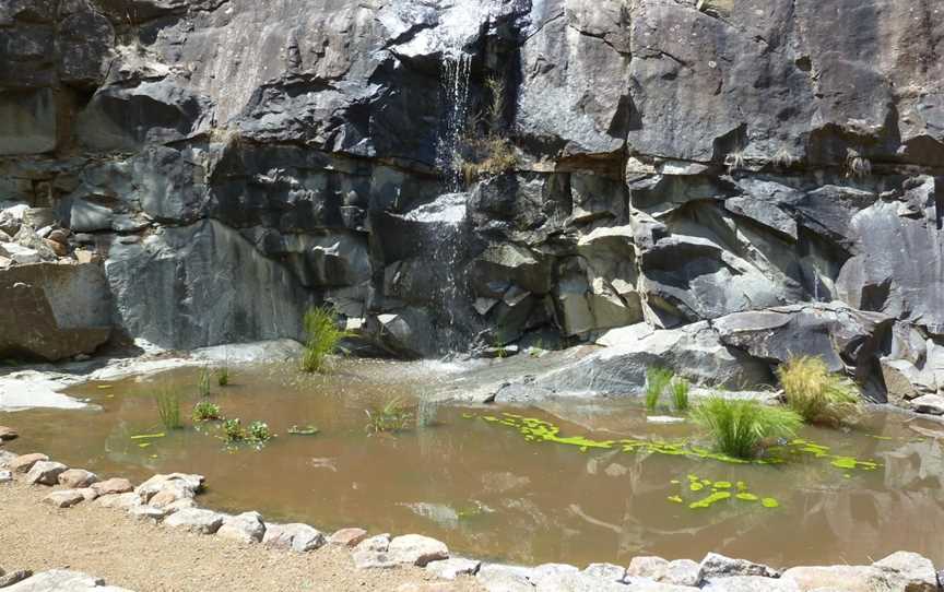 Tasmanian  Bushland Garden, Buckland, TAS