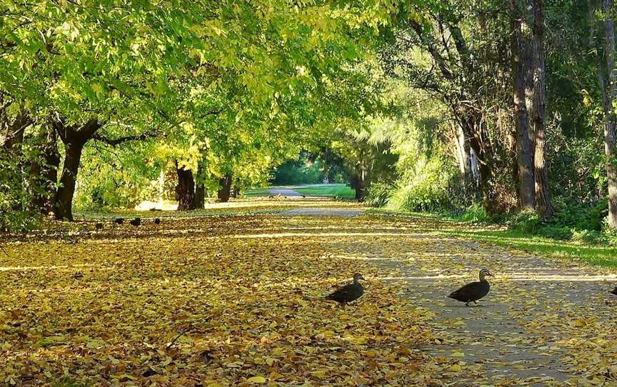 Nepean River Cycleway, Camden, NSW