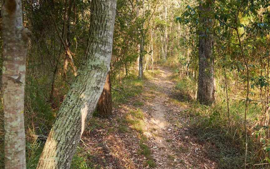 Walter Zimmerman Park, Pine Mountain, QLD