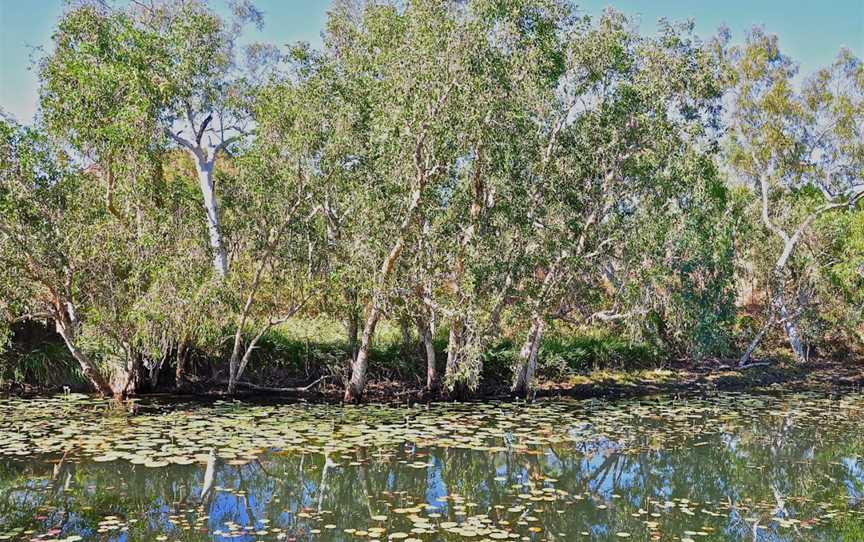 Caranbirini Conservation Reserve, McArthur, NT