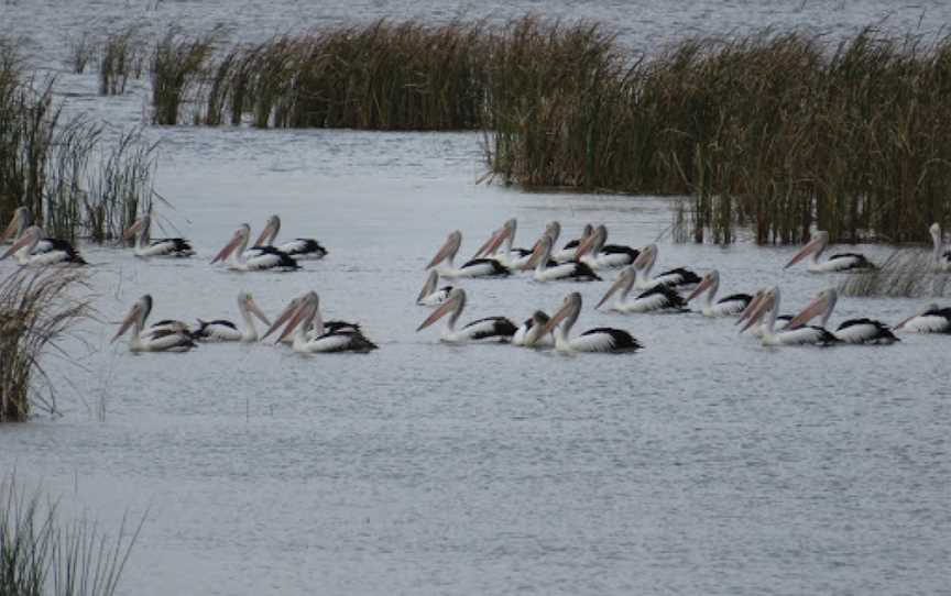 Winton Wetlands, Chesney Vale, VIC