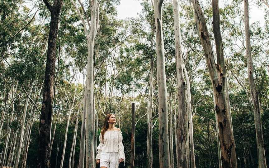 Tondoon Botanic Gardens, Gladstone, QLD